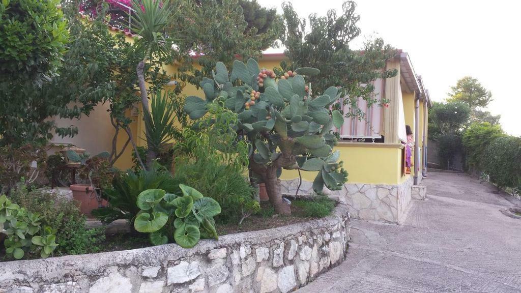 Villa Natura Sea View Vieste Exterior foto
